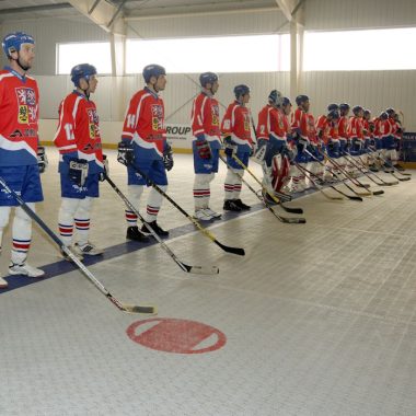 Prodotto utilizzato: Ultimate